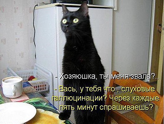 f6ecc6c957b91028a57ab61ed15_prev