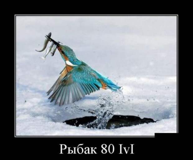 Картинки в черных рамках