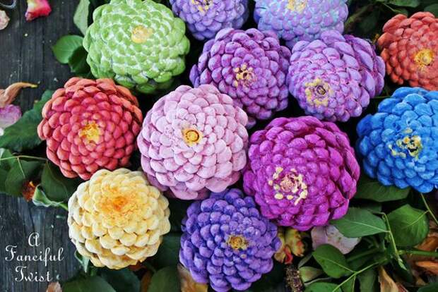 Pinecone flowers 9