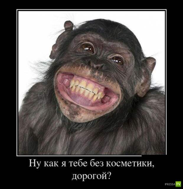 Демотиваторы на июнь, часть 13 (30 фото)