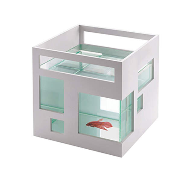 fishbowl
