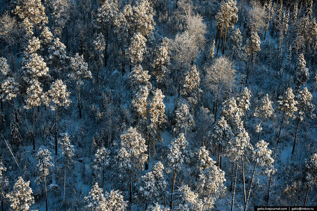 Югра с высоты