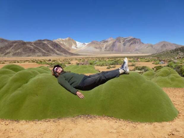 Прикольные картинки (90 фото) Прикольные картинки (90 фото)