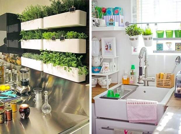 10 симпатичных идей для тех, кто мечтает о мини-огороде у себя на кухне