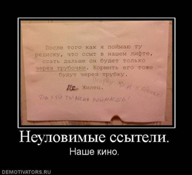 Разные смешные демотиваторы, новые приколы на фото.