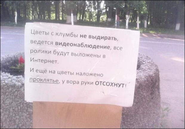 Смешные объявления, вывески, рекламки, ценники. часть 60 (25 фото)
