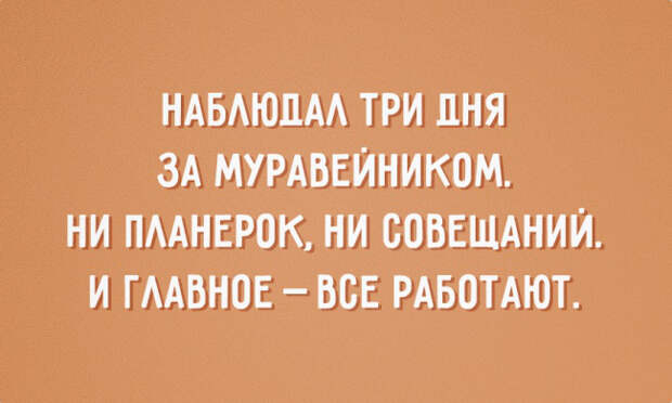 Наблюдал три дня за муравейником...