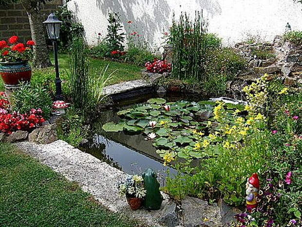 РґР°С‡Р° 56 (470x353, 330Kb)