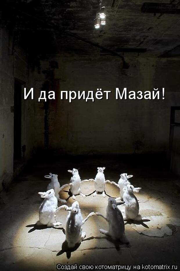 Котоматрица