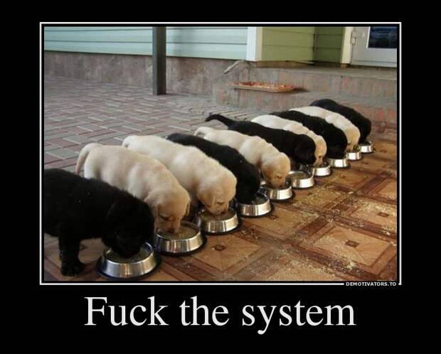 Демотиваторы 