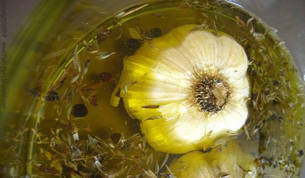 64-sq-ft-kitchen-how-to-make-roasted-garlic-oil-in-3-easy-steps-comment-prparer-l039huile-d0-14136457688nkg4 (1)
