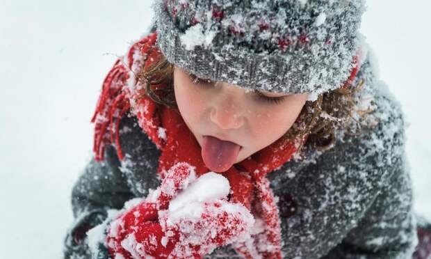 Афиша: события декабря