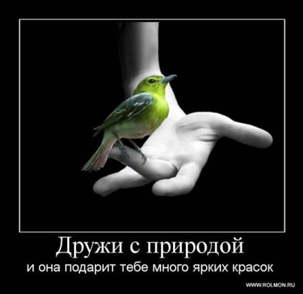 Демотиваторы со смыслом новые.