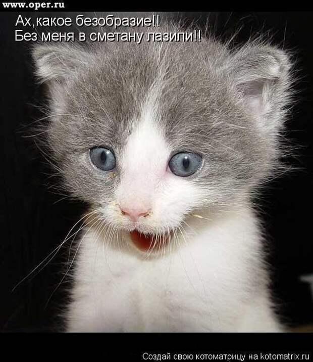 Мысли вслух :)