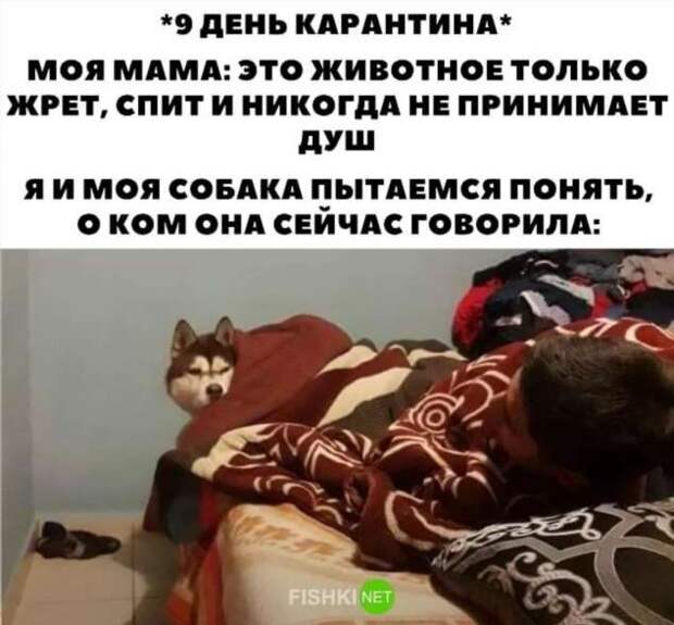 Смешные комментарии. Подборка chert-poberi-kom-chert-poberi-kom-39560217102020-15 картинка chert-poberi-kom-39560217102020-15