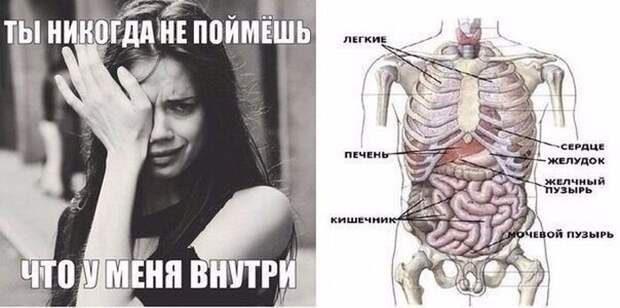 Прикольные картинки