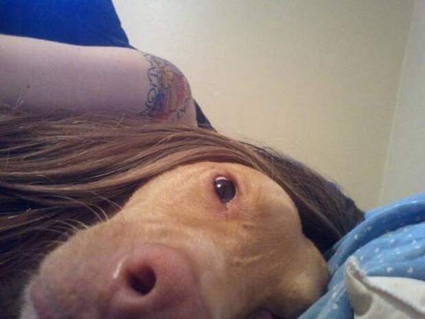 Веселые снимки, сделанные в самый подходящий момент (50 фото)