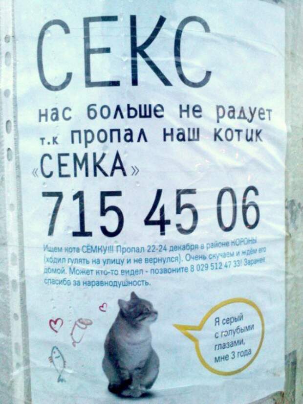 20 объявлений, которыми мы гордимся объявления, смешно