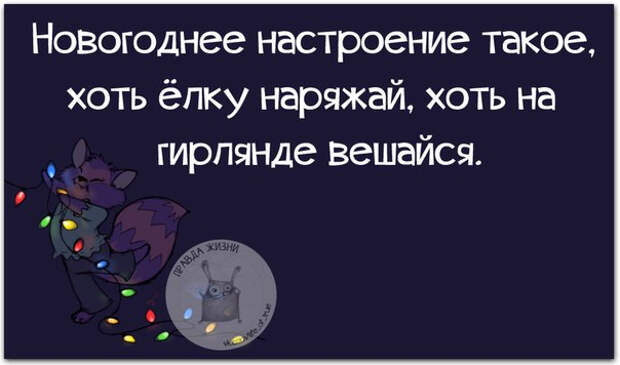 Немного новогодней «Правды жизни» (30 картинок)