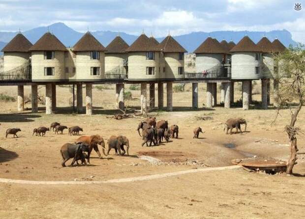 Забавные и позитивные фотки 14