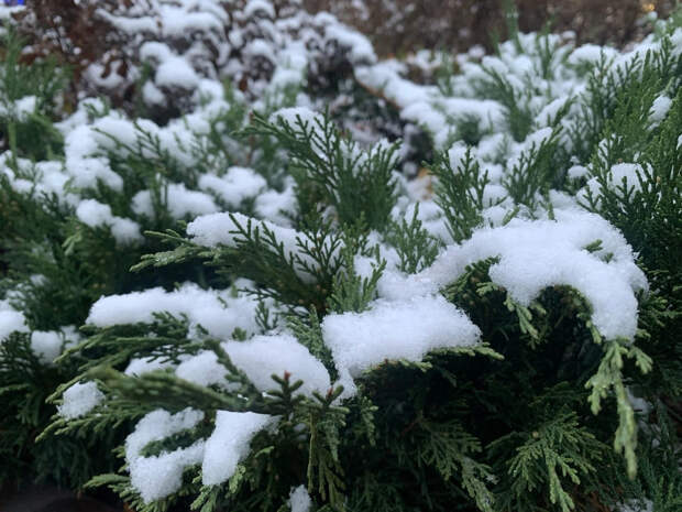 До -15: в новогоднюю ночь в Москве ударят морозы