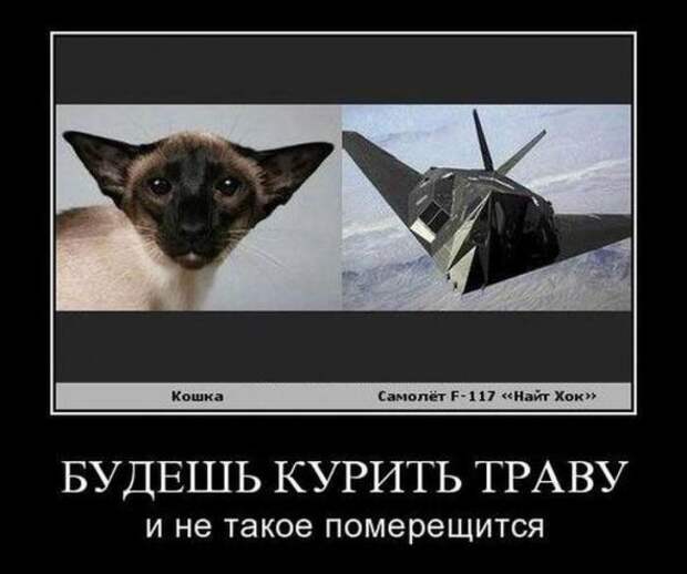 Забавные веселые картинки, демотиваторы