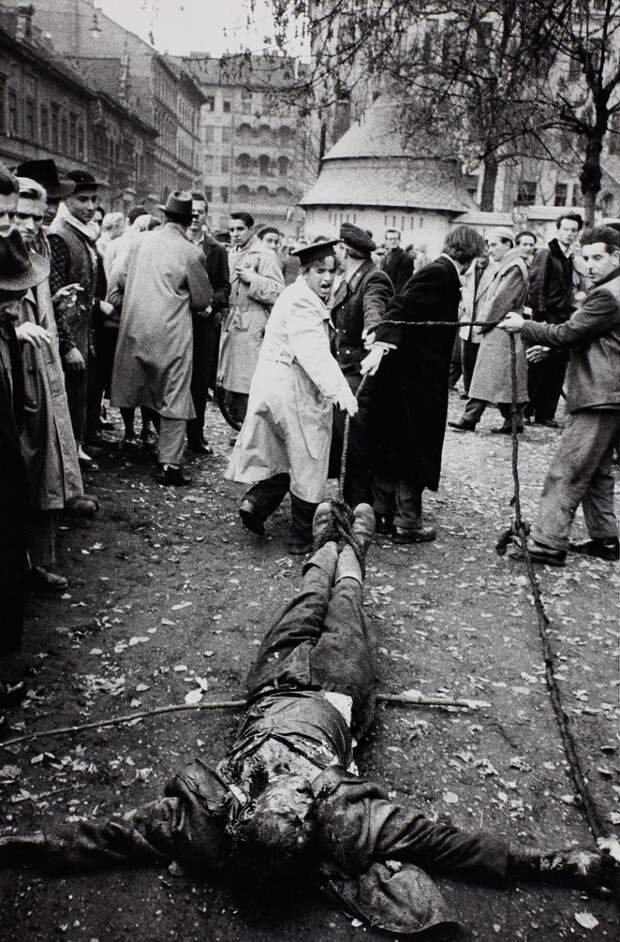 Венгерский мятеж 1956 на фотографиях Эриха Лессинга