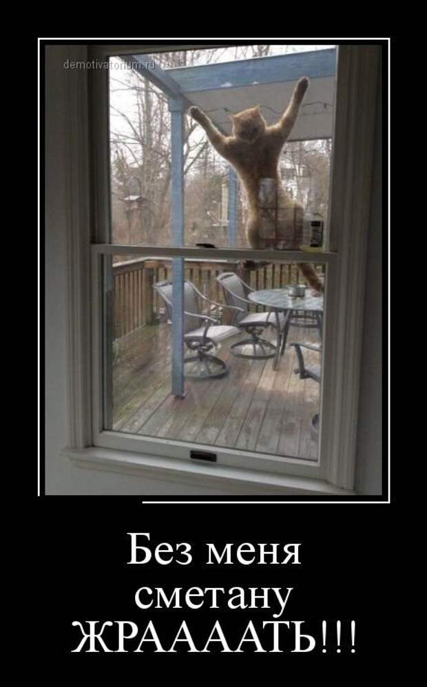 Демотиваторы злобные