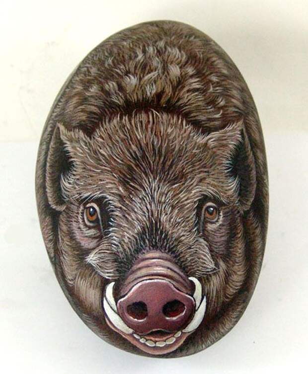 Рисунки на камнях от Ernestina Gallina