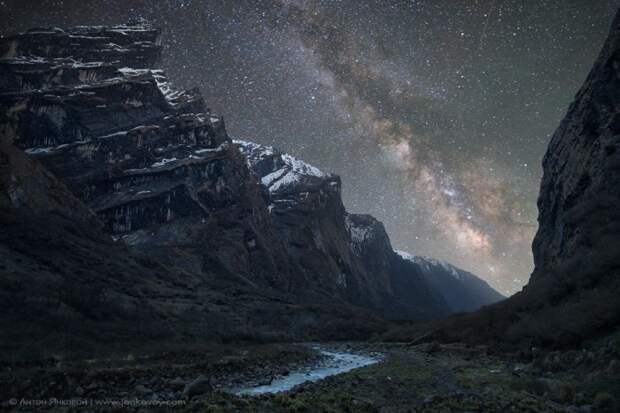Лучшие фотографии за год фото, красота, особенность