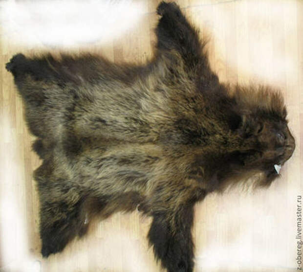 Шкура № 1rnШкура медведя выделанная, без когтей, длина от носа до хвоста - 145 см. Хороший мех. Цена 15 т.р.rnrnСмотрите другие фото - там другие шкуры