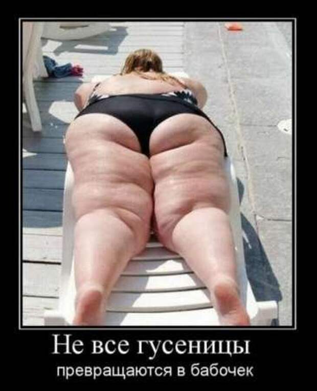 Фотографии с прикольными подписями, новые демотиваторы.
