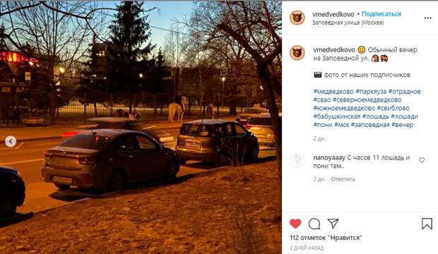 Фото дня: на Заповедной гуляли пони