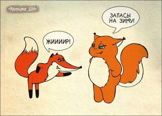 Девичья правда от белки Ши Девичья правда от белки Ши белка, рисунки