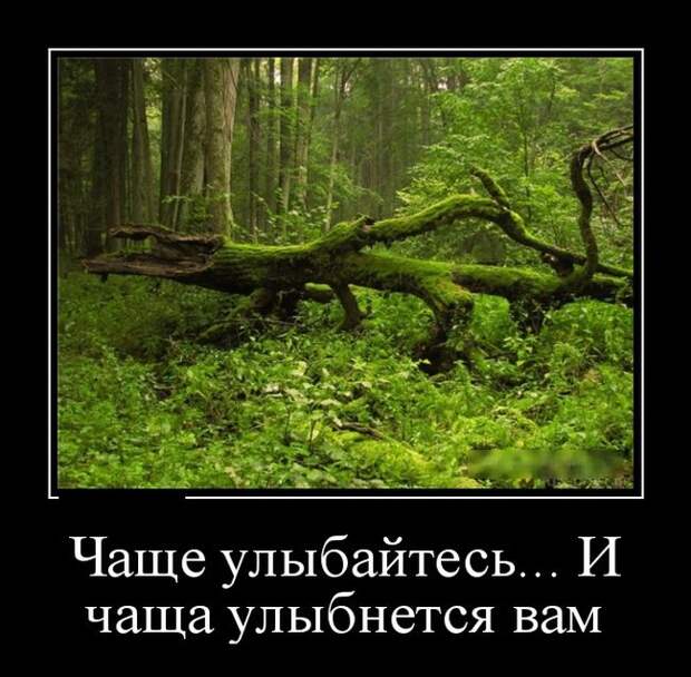 Демотиваторы (30 фото)