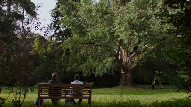 "Молчаливый друг" и "Ловушка для кролика": два фильма о загадках природы