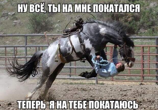 Смешные картинки с подписями катинки, прикол, юмор