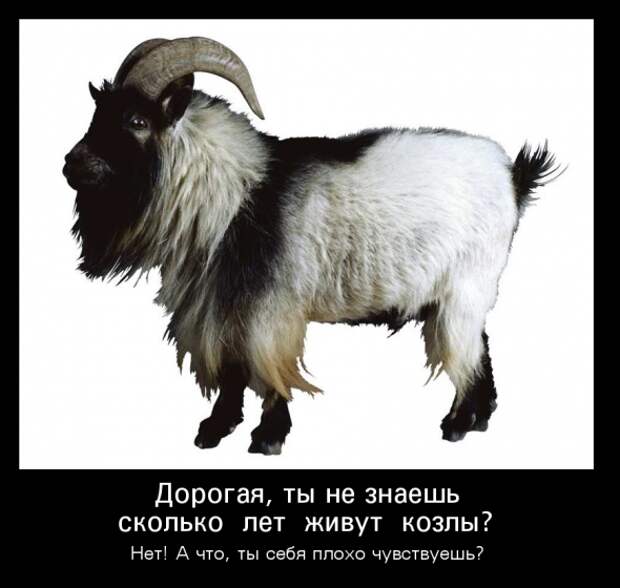 Подборка классных демотиваторов № 115
