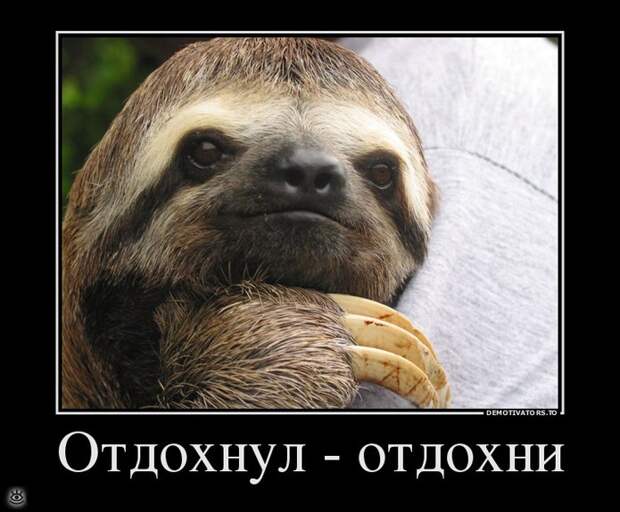 Отдохнул - отдохни ещё! 11