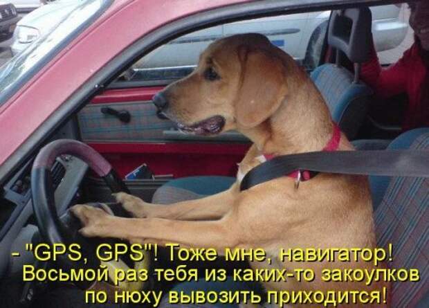 Котоматрица 12