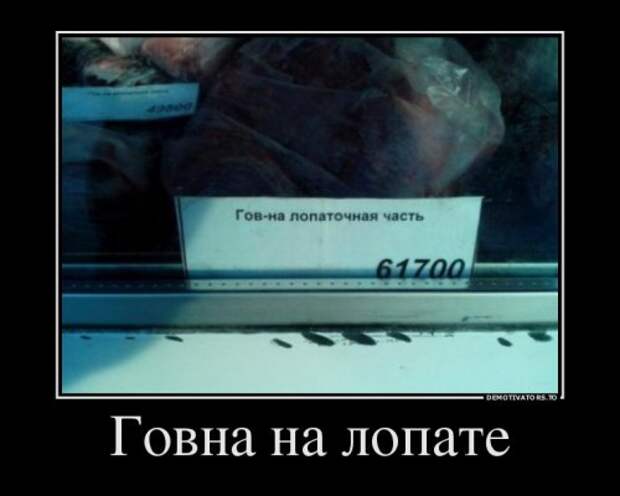 Новые демотиваторы (20 шт)