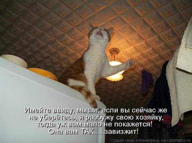 600x720-c0f45ff02d72e8ecd7dc50eaf77304b2_103348 (600x449, 133Kb)