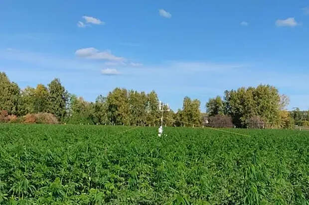 На Урале открыли карбоновую ферму