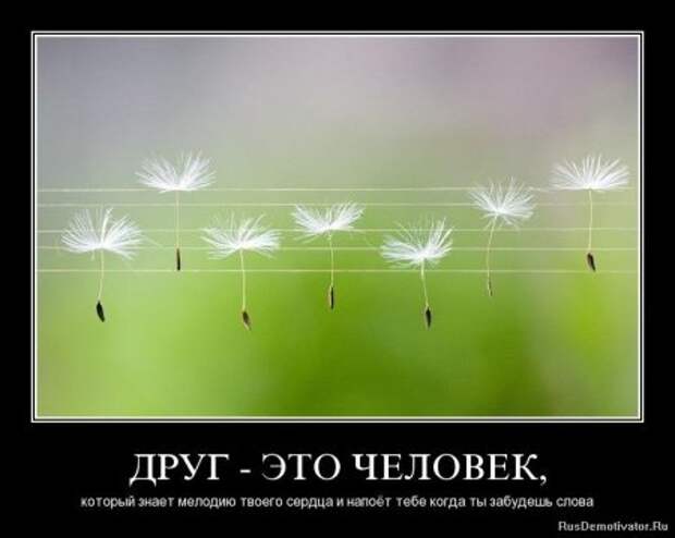 Демотиваторы про дружбу.