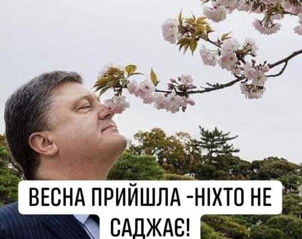 От "я тебе приговор" до "мне он не интересен" один шаг
