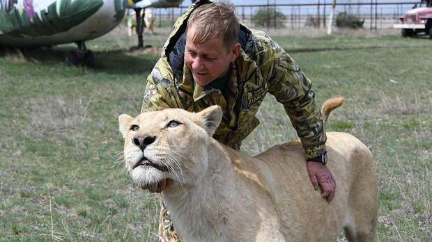 Блогер раскрыл детали нападения льва на Зубкова