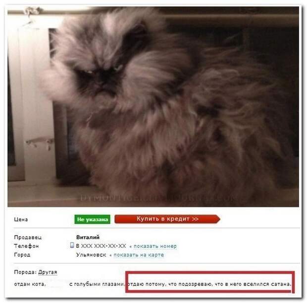 Смешные комментарии из социальных сетей 04.10.14 комментарии, прикол, соцсети, юмор