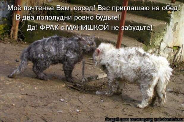 Мысли вслух :)