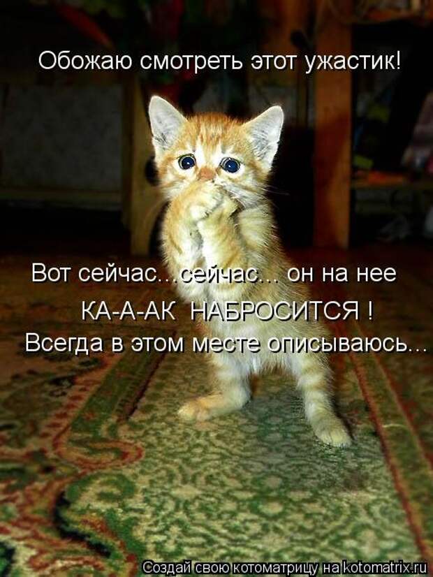 Котоматрица - Обожаю смотреть этот ужастик! Вот сейчас...сейчас... он на нее КА-А-АК