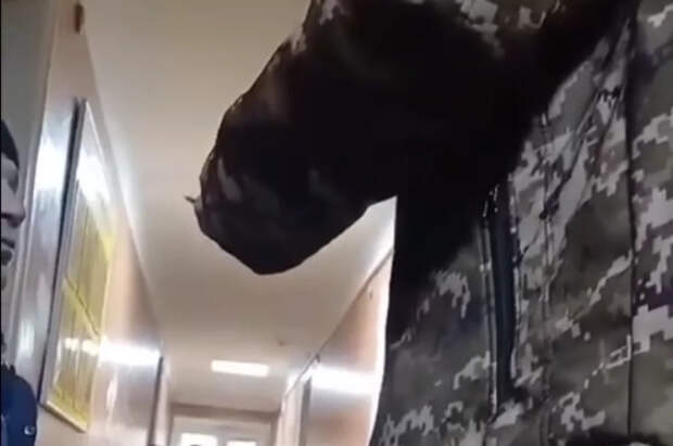 Гончаренко: на зарплаты сотрудников ТЦК Киев тратит более $23,1 млн в месяц